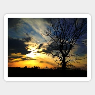 Sunset over Gosbecks Archaeological Park Sticker